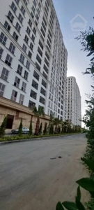 100متر رونیکا پالاس کوهک