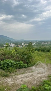 زمین 530 متری با ویو دریا/ کوه / جنگل