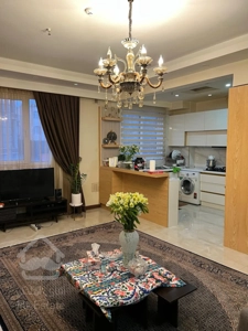 فروش آپارتمان سالن پرده خور کم سن و سال فردوس غرب