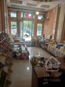 فروش آپارتمان لوکس باویوابدی