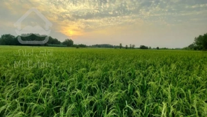 فروش فوری زمین با کاربری مسکونی عباس آباد مازندران