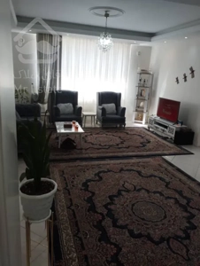 ۸۱متری سند دار