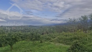 فروش ویژه زمین ۶۸۴متری مسکونی اطاقور