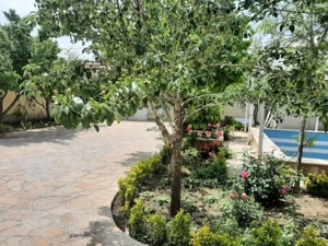 فرصت طلایی سرمایه‌گذاری؛ ۷۰۰۰ متر زمین مسکونی