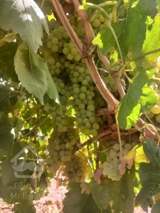 فروش مستغلات اداری وزرا ۲۲۰۰متراداری دربست