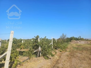 فروش کلنگی عباس آباد۳۵۰متر‌زمین بابر۱۰