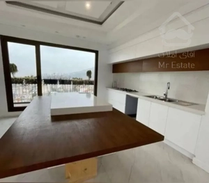 اجاره 220 متری دیباجی