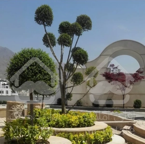 فروش 159 متری در قیطریه - منظریه