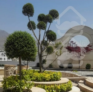 فروش 205 متر در دروس