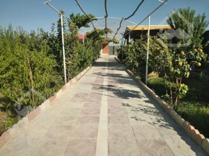 اجاره باغ و ویلا