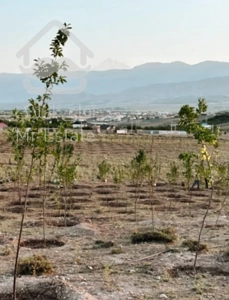 زمین ۳۵۰ متری جاده کیلان