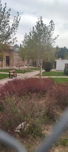 آپارتمان/همکف/ فرانسوی ساز/ اکازیون