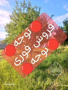 🔴فروش فوری🔴باغ در چهار کیلومتری زنجان ۳۰۰۰ متر زیر قیمت