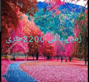 فروش زمین باغی(منجیل آباد)