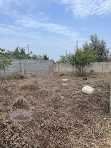 فرصت عالی برای سرمایه گذاری