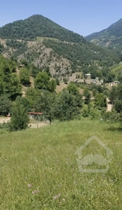 فروش زمین مسکونی 1000متر روستای رینه