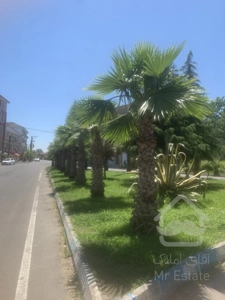 فروش زمین شهرکی برای ساخت ویلا و آپارتمان بندرکیاشهر