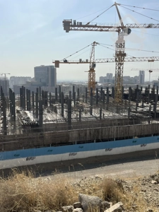 پیش فروش دولتی زیر نظر سازمان جنگلبانی و مراتع دریاچه چیتگر حسین محمدی