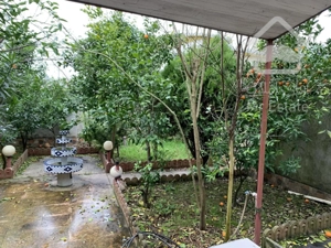 باغچه سند دار در محله ای برند و شیک.