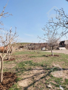 فروش باغ با بهترین