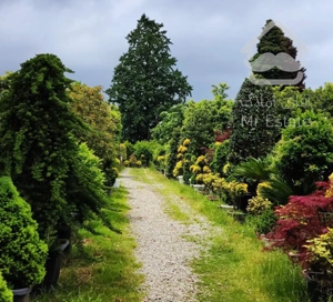 تولید گل و گیاه بیرونی و اجرای فضای سبز