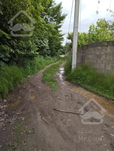 زمین زیبا کنار نوار دریا مناسب سرمایه گذاری