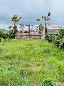 🌳🌳فروش ویژه زمین خط پلاک یک جنگل فقط متر۱۵۰۰🌳🌳