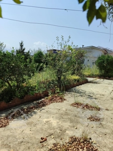 فروش ویلا باغ