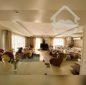 ۱۵۵ متر، بدون مشرف، امکانات کامل/سرمایه گذاری