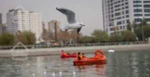 ۸۰ متری کنار دریاچه غرق نور اقساطی