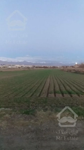 زمین هکتاری تهاتر با تهران