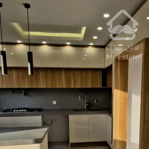 دریاچه‌چیتگر/۶۲متر/وام‌دار