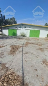 فروش ویژه کارخانه در مازندران/جویبار