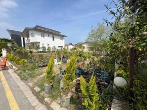 فروش زمین_شهرک برند