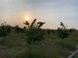 1700مترزمین/قابل تفکیک/منطقه سرسبز