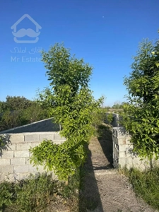 زمین قابل ساخت منطقه فوق سرسبز