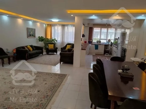 ۱۵۶ متر سمفونی نور و نقشه