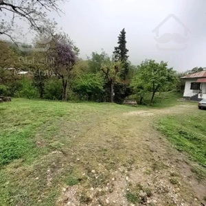 فروش زمین ویودار در رامسر