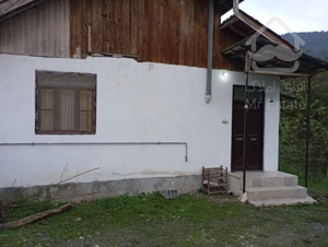 اجاره روزانه سوئیت جنگلی در رامسر