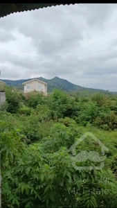 فروش زمین در استان گیلان ۴۶۰ متری