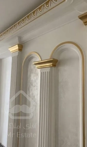 مجری پتینه های لوکس ساختمانی