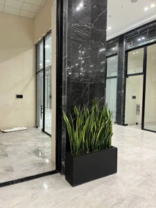 اجاره واحد تجاری در رونیکا مال با سه ماه تنفس