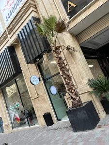 فروش یک باب مغازه 18متری در قلب رونیکا مال