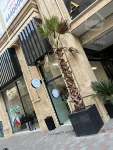 اجاره واحد تجاری در رونیکا مال با سه ماه تنفس