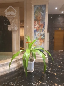 پیش فروش واحد ۱۱۴متری در سوهانک