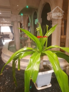 پیش فروش واحد ۱۱۶متری