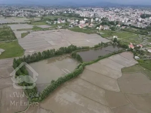 فروش ۵هکتار زمین سندار گیلان سنگر