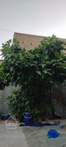 فروش فوری خانه فروشی