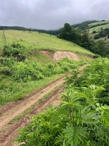 نقدی تخفیف پای معامله