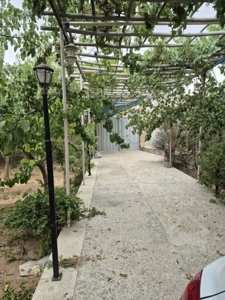 باغ علی آباد صدری